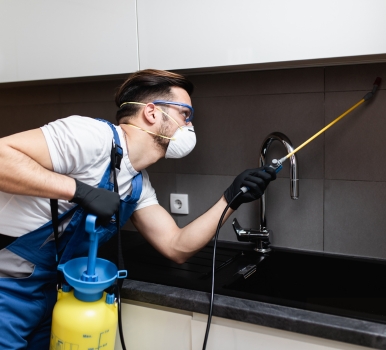 Chris Pest Control Docklands Milestone